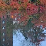 Autumn Reflection