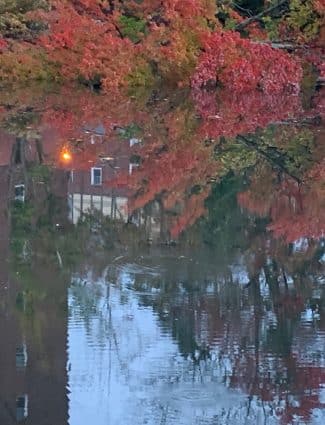 Autumn Reflection