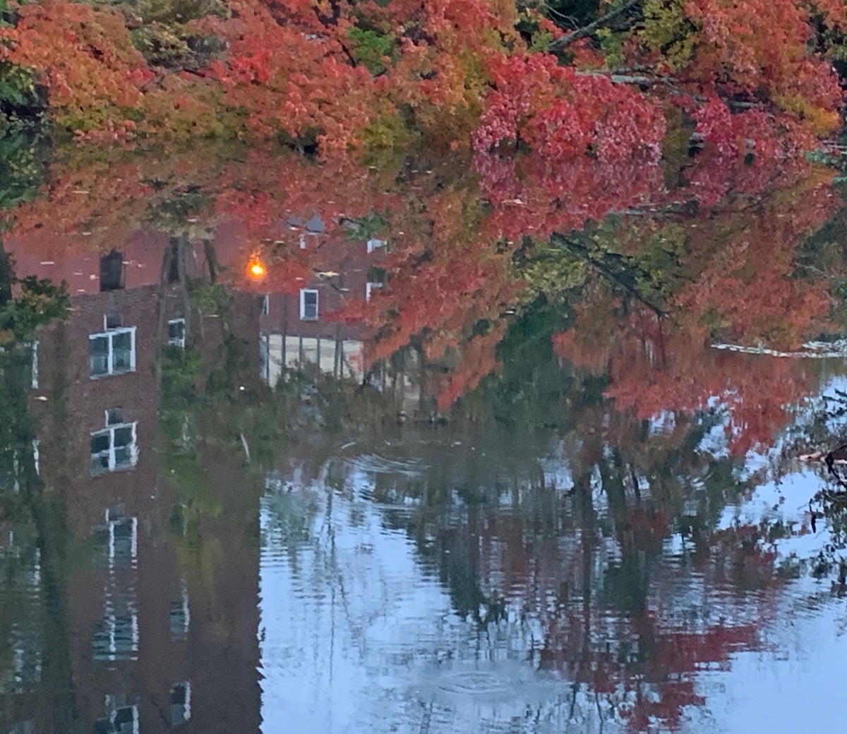 Autumn Reflection