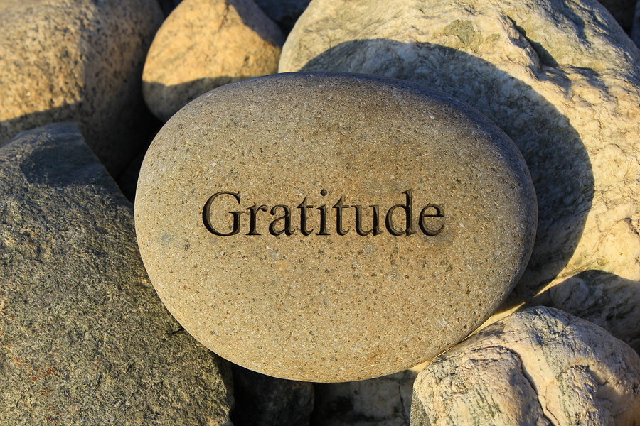 Gratitude