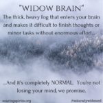 Widow Brain