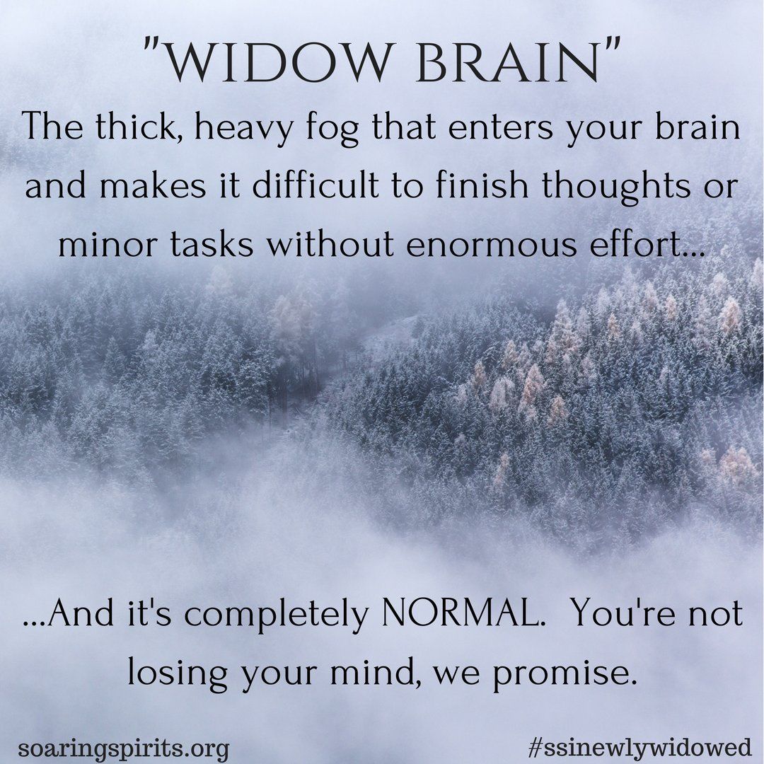 Widow Brain