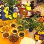 Tu B'Shevat Seder